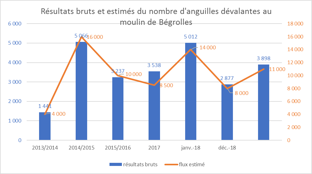 Suivi de la dévalaison des Anguilles argentées