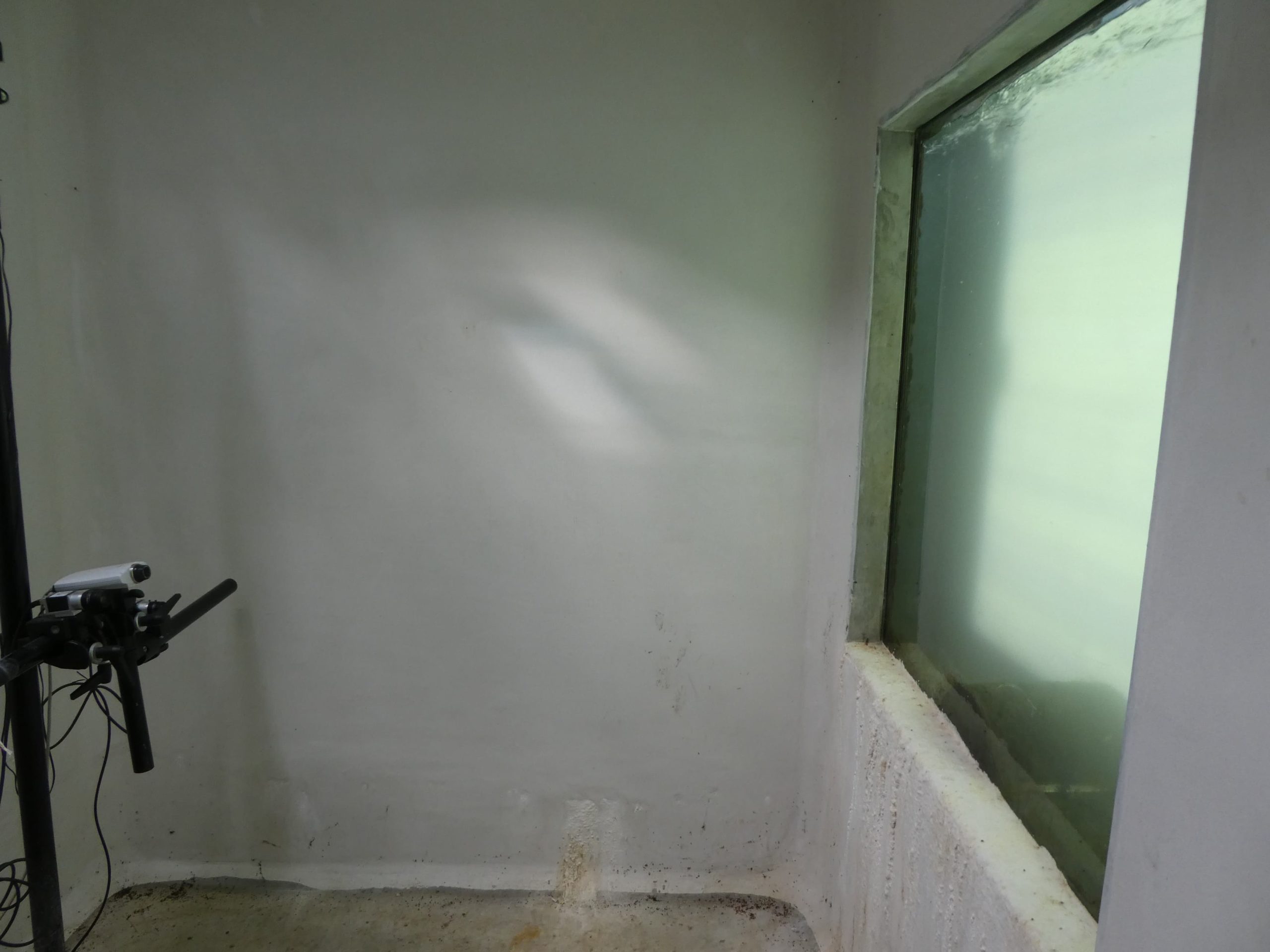 Camera de la passe à poisson