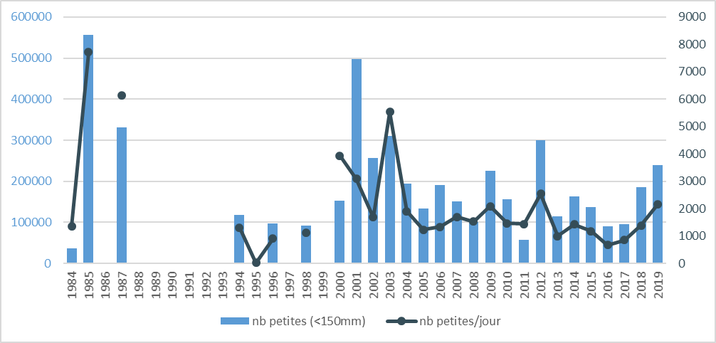 Suivi des effectifs de civelles de la passe des Enfreneaux